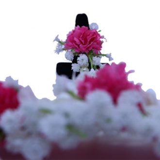 Baby’s Breath Haath Phool